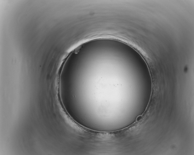 X0000095551526200712211358