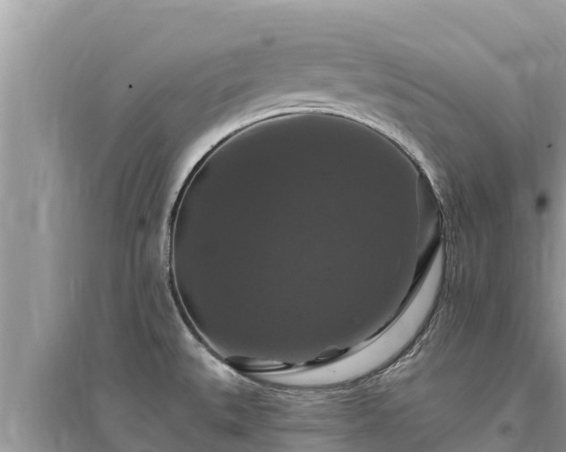 X0000095551527200712211358