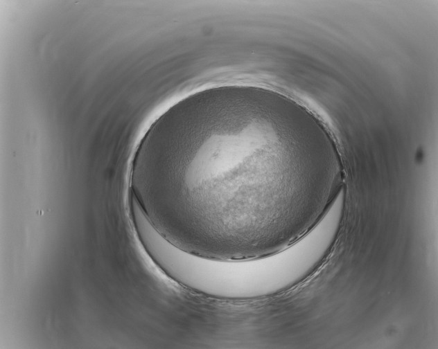 X0000095551528200712211358