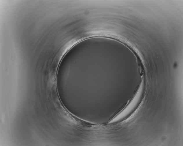 X0000095551529200712211358