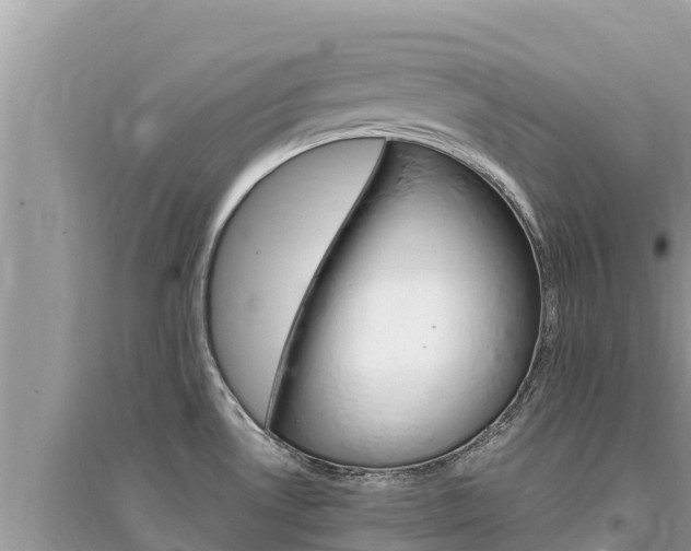 X0000095551530200712211358