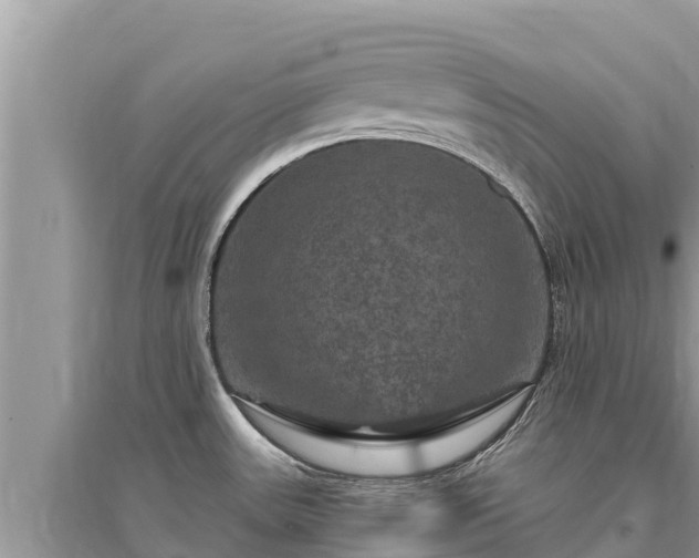 X0000095551531200712211358