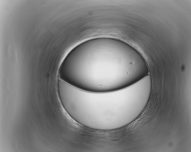 X0000095551532200712211358