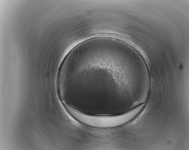 X0000095551533200712211358