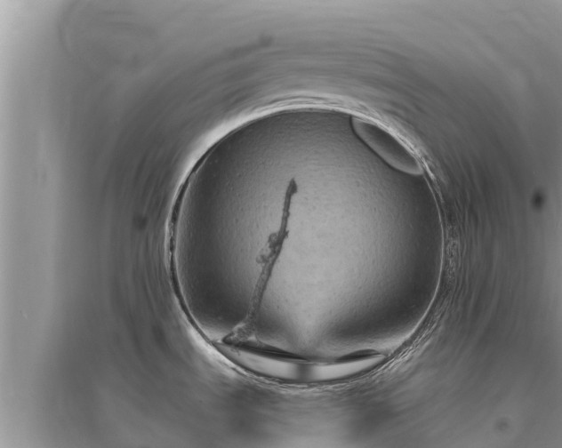 X0000095551535200712211358