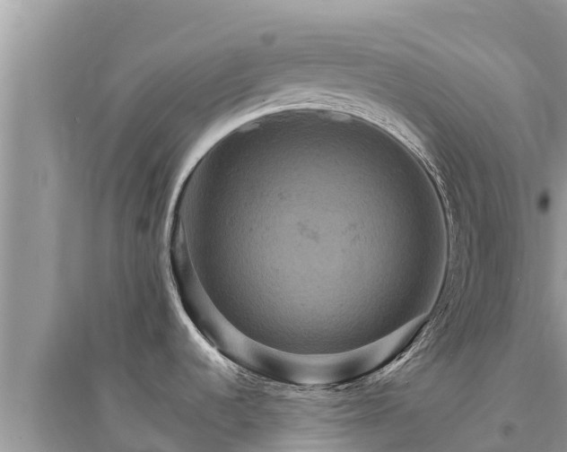 X0000095551536200712211358