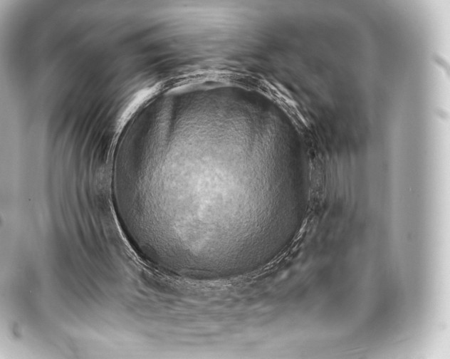 X0000095550003200712281616