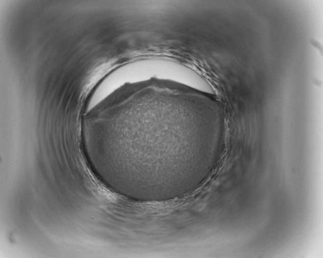 X0000095550005200712281616