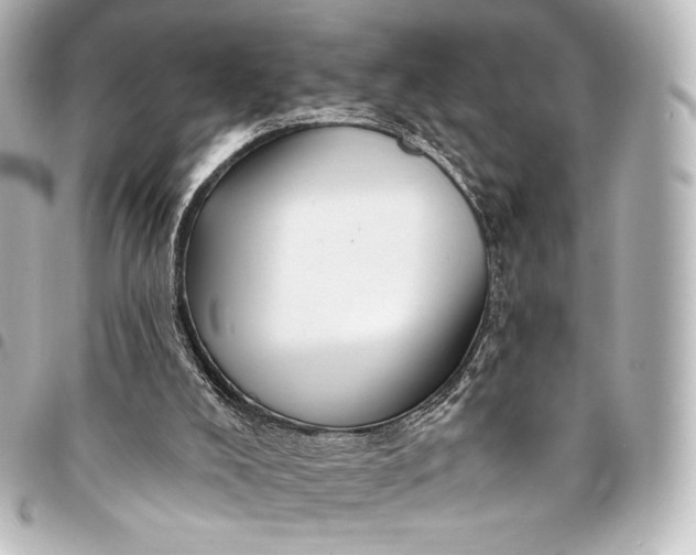 X0000095550008200712281616