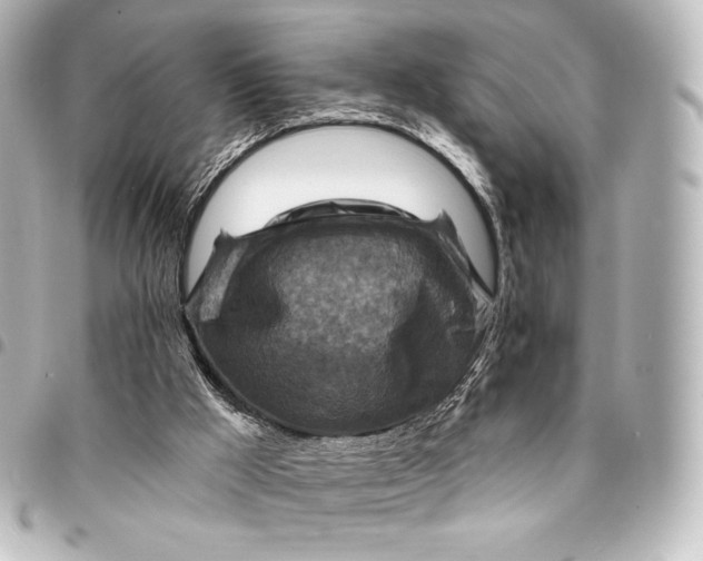 X0000095550009200712281616