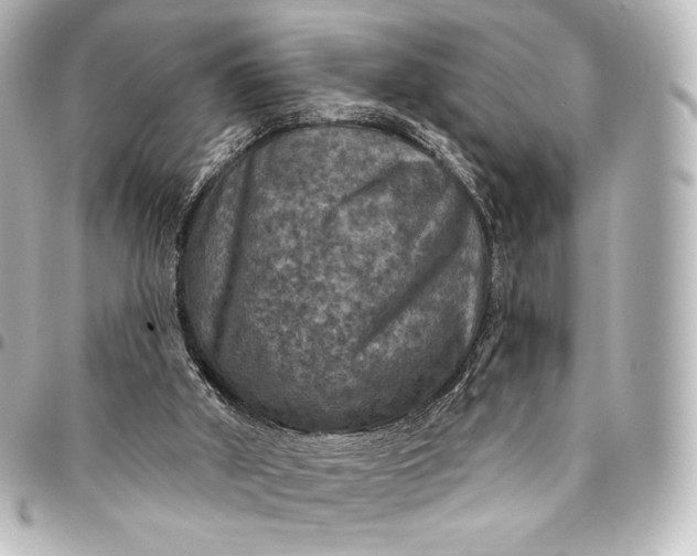 X0000095550010200712281616