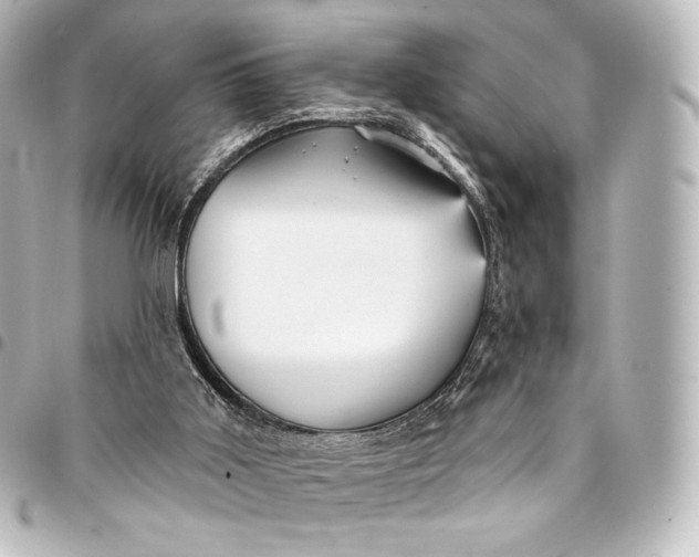 X0000095550011200712281616