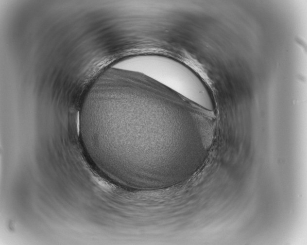 X0000095550013200712281616