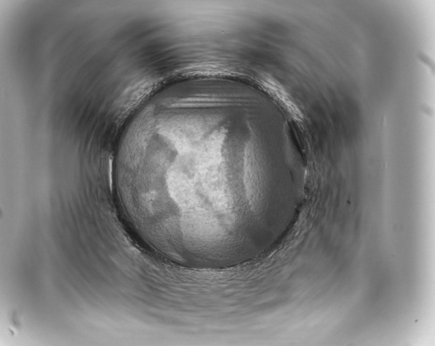 X0000095550014200712281616