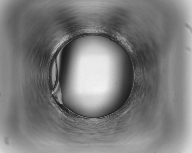 X0000095550015200712281616