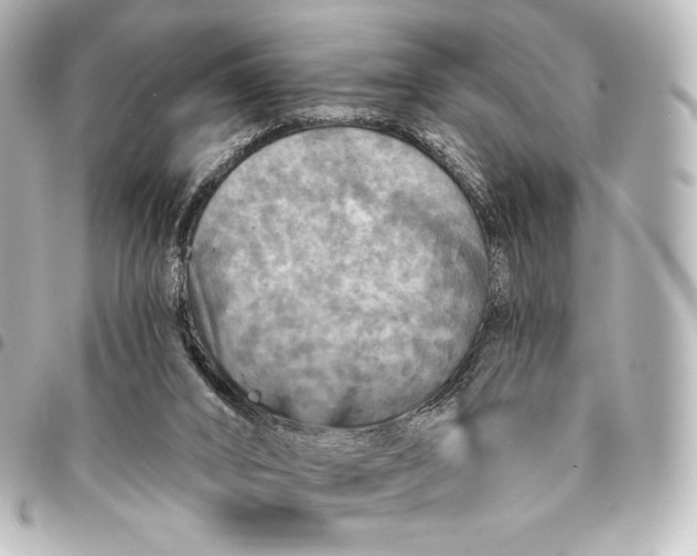 X0000095550016200712281616