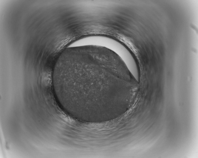 X0000095550017200712281616