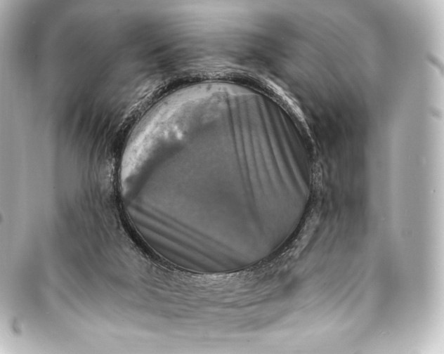 X0000095550018200712281616