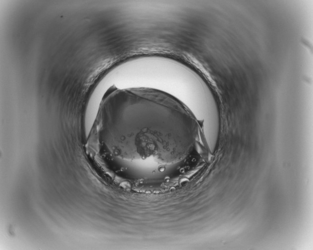 X0000095550019200712281616