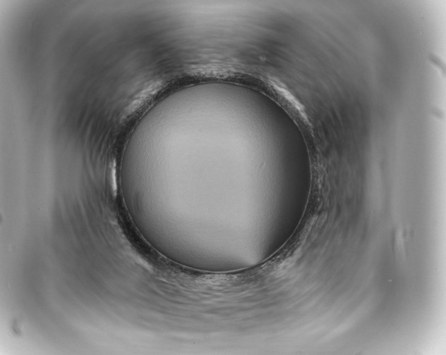 X0000095550020200712281616