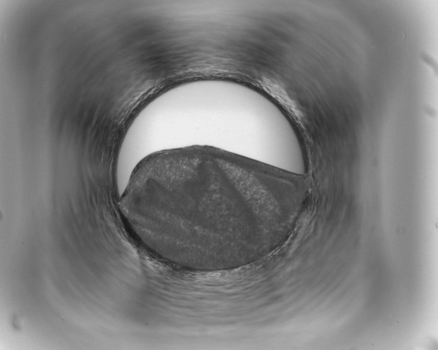 X0000095550021200712281616