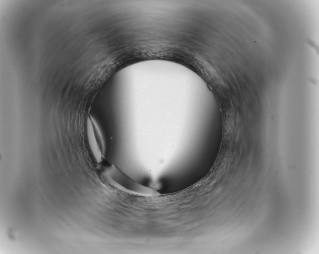 X0000095550025200712281616