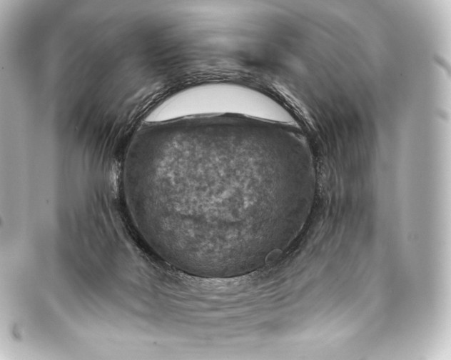 X0000095550026200712281616