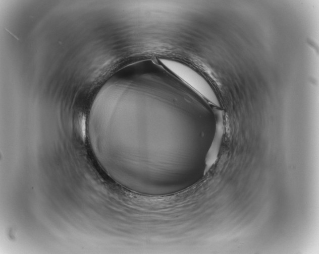 X0000095550027200712281616