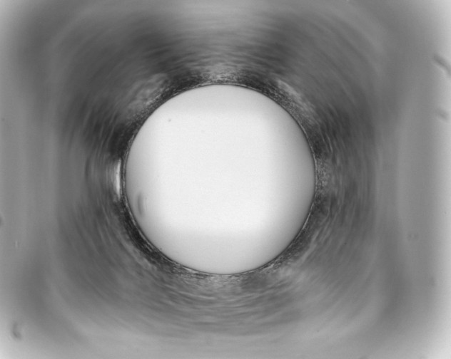 X0000095550028200712281616