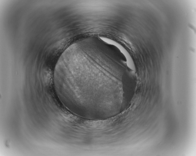 X0000095550029200712281616