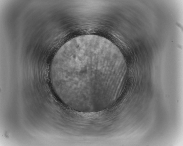 X0000095550030200712281616