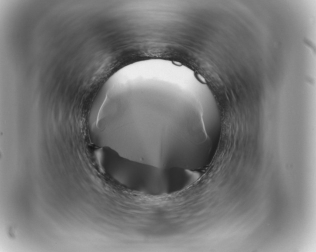 X0000095550031200712281616