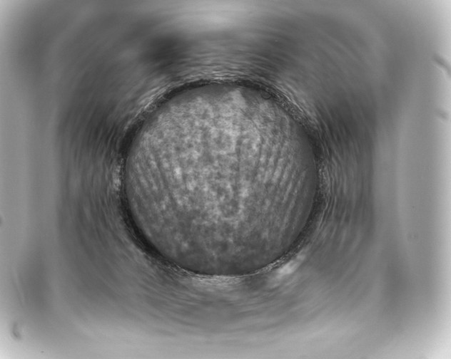 X0000095550032200712281616