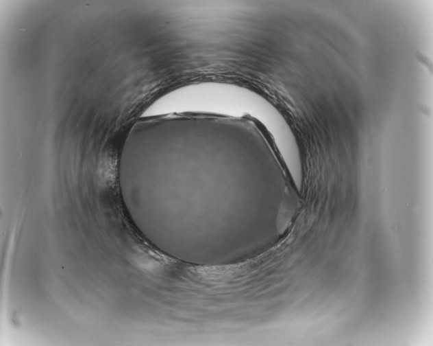 X0000095550033200712281616