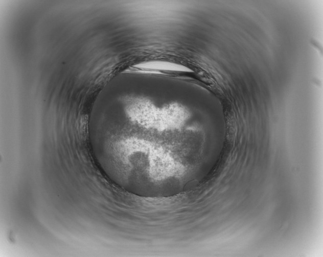 X0000095550034200712281616