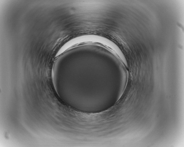 X0000095550035200712281616