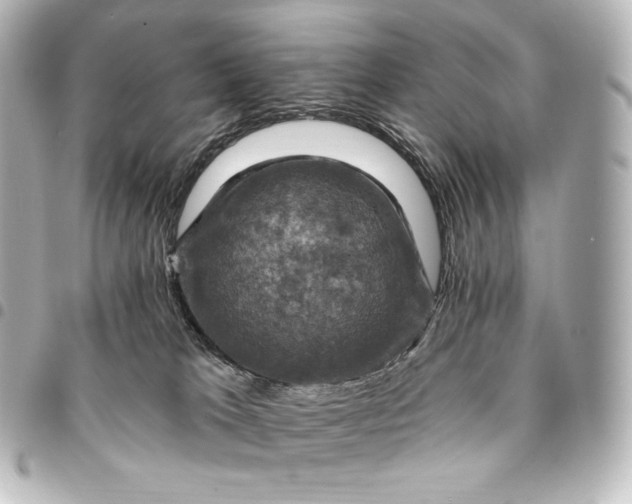 X0000095550037200712281616