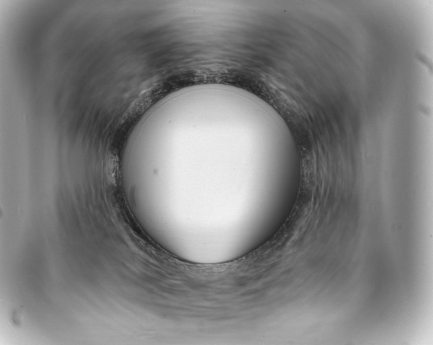 X0000095550038200712281616