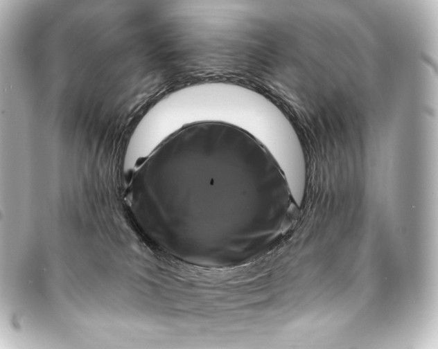 X0000095550039200712281616