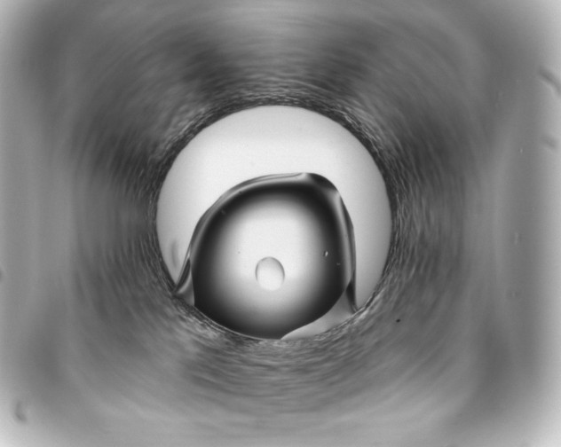 X0000095550041200712281616