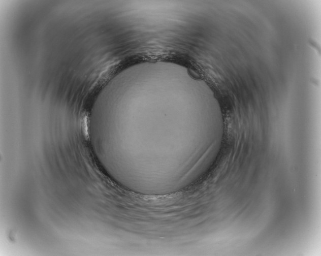 X0000095550042200712281616