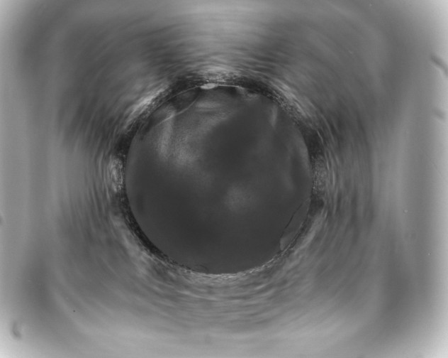 X0000095550043200712281616