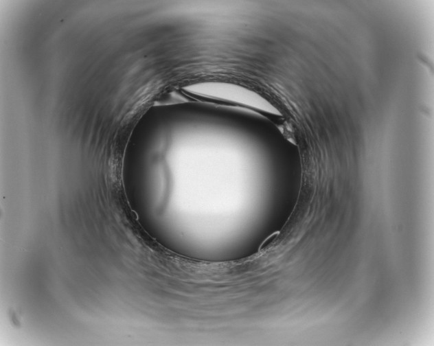 X0000095550044200712281616