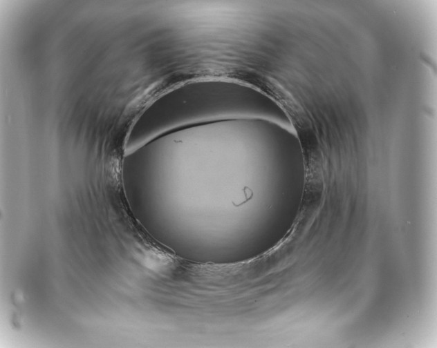 X0000095550045200712281616