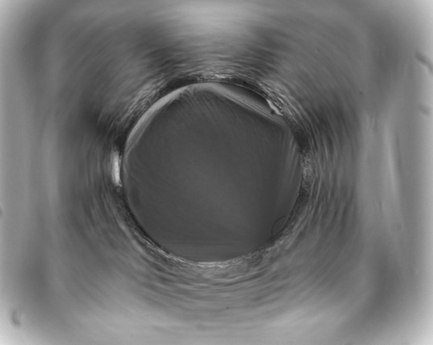 X0000095550046200712281616