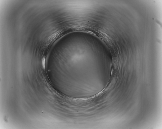 X0000095550047200712281616