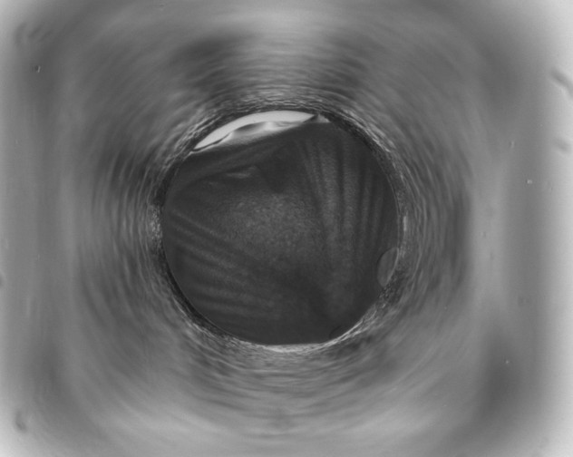 X0000095550048200712281616