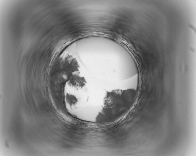 X0000095550049200712281615