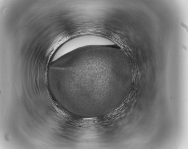 X0000095550050200712281615