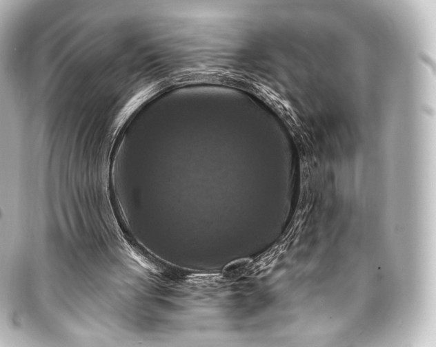 X0000095550051200712281615